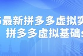 2025最新拼多多虚拟实战打法，拼多多虚拟基础sop