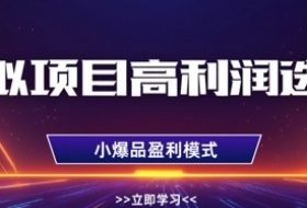 虚拟项目高利润选品方法，做好单店利润1W+，可多店倍增利润