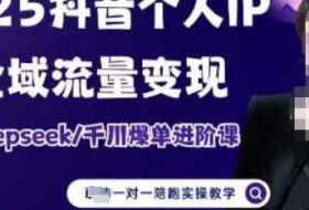 2025个人IP短视频带货(进阶版)全域流量变现，deepseek千川爆单进阶课
