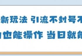 国学新玩法，引流不封号不违规小白也能操作，当日就能变现