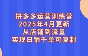 （14469期）拼多多运营训练营2025年4月更新，从店铺到流量，实现日销千单可复制