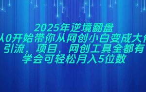 （14473期）2025年逆境翻盘，从0开始带你从网创小白变成大佬，引流，项目，网创工…