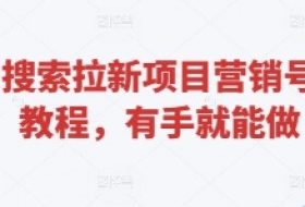 悟空搜索拉新项目营销号玩法教程，有手就能做