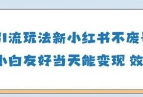 男粉引流玩法(新)，玩法友好做的好当天就能变现