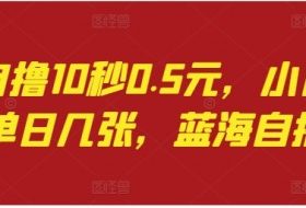 语聊自撸10秒0.5元，小白轻松上手单日几张，蓝海自撸项目