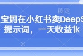 全职宝妈在小红书卖DeepSeek提示词，一天收益1k