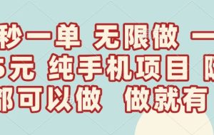 （14493期）10秒钟一单，一单5毛钱到手，无限做，做就有，一天轻松日入300+