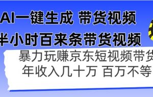 （14497期）AI一键生成 半小时百来条带货视频，暴力玩赚京东带货，年入几十百万不等