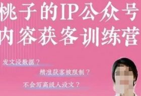 桃子IP公众号内容获客训练营(第3期)，一门让你公众号从0到商业闭环的课程