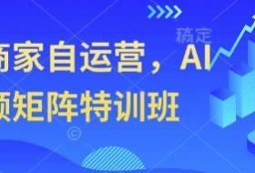 实体商家自运营，AI短视频矩阵特训班
