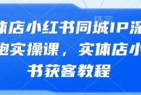 实体店小红书同城IP深度陪跑实操课，实体店小红书获客教程