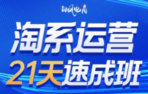 白凤电商·淘系运营21天速成班（更新4月）
