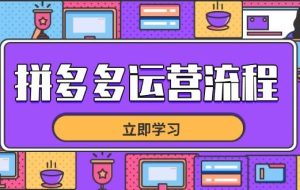 （14503期）拼多多运营流程，从选品到流量，全链路运营技巧，助力店铺爆单