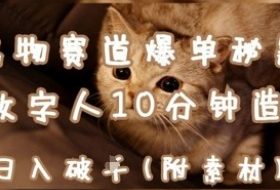 宠物赛道爆单秘籍：AI+数字人10分钟造爆款，日入1k