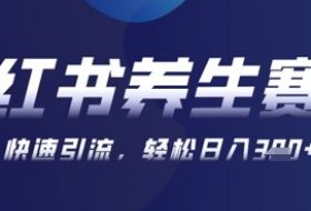 AI+可画生成小红书养生作品，新手暴力起号，矩阵操作，轻松日入3张+