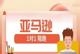 亚马逊1对1陪跑课(FBA/FBM精铺)跨境亚马逊教程