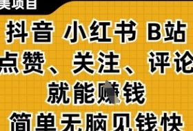 小而美的项目，抖音小红书B站视频点赞、关注、评论就能挣钱，简单无脑立见收益，妥妥的零撸项目【揭秘】