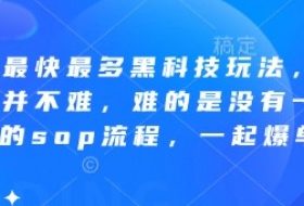 拼多多最快最多黑科技玩法，拼多多起量并不难，难的是没有一套完整的sop流程，一起爆单!
