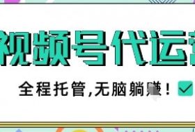 视频号代运营，团队托管计划，简单操作不限时间地点，一部手机单月轻松变现5k【揭秘】