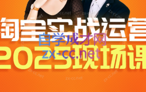 推易·2025年4月份淘宝全套运营现场课程（新）