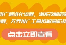 淘系运营推广标准化流程，​淘系改版后新品布局全流程，无界推广工具拆解高阶玩法