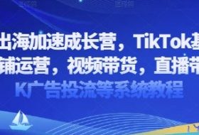 2025出海加速成长营，TikTok基建选品，店铺运营，视频带货，直播带货，TK广告投流等系统教程