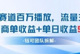 中老年赛道百万播放+流量主收益+定制收益，单日收益9张