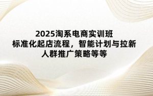 （14522期）2025淘系电商实训班：标准化起店流程，智能计划与拉新，人群推广策略等等