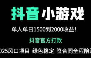 （14527期）抖音官方小游戏2025全网最新玩法，暴利赚钱项目，单机日入2000+，绝不…