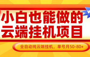 小白也能做的云端自动运行项目无需操作，云端自动运行，支持批量，单号月50-100，完全解放双手