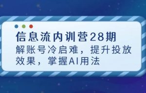 （14535期）信息流内训营28期，解账号冷启难，提升投放效果，掌握AI用法
