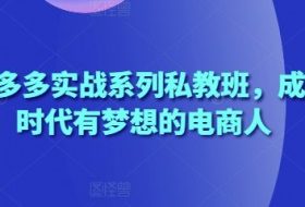2025拼多多实战系列私教班，成就这个时代有梦想的电商人