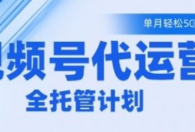 视频号代运营2.0，全程托管招募，单月轻松变现5k【揭秘】