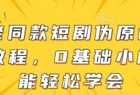 大佬同款短剧伪原创搬运方法，0基础小白也能轻松学会