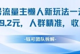 视频号流量主懒人新玩法，一天收益1k，人群精准收益高