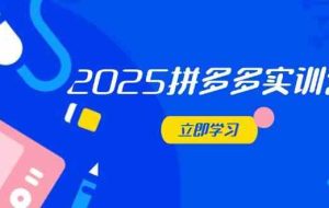 2025拼多多实训营：深度剖析运营关键，助力电商人快速提升