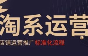 寒冰老师·淘系运营推广标准化流程