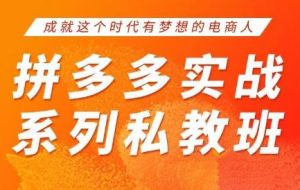 华生老师·2025拼多多实战系列私教班