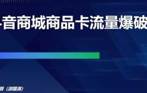 雪狼老师·抖音商城商品卡流量爆破课