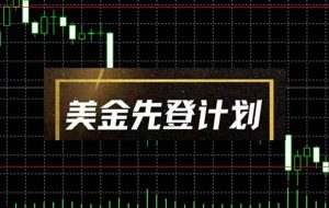（14550期）美金先登计划（2025黑马项目） （单人日收益2至3K，当日可提现，可放大…