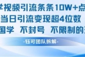 国学视频引流条条10W+点赞当日引流变现超4位数