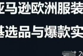 跨境电商选品案例24-25年，聚焦跨境电商选品策略与运营优化，助力卖家挖掘蓝海市场