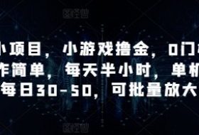 手机小项目，小游戏撸金，0门槛0投入操作简单，每天半小时，单机单号每日30-50，可批量放大