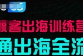 出海训练营基础课，​跑通出海全流程，实战案例拆解