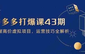 拼多多打爆课第 43 期，掌握高价虚拟项目，运营技巧全解析（15节）
