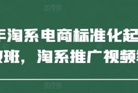 2025年淘系电商标准化起店流程私教班，淘系推广视频教程