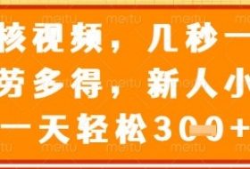 视频审核员，几秒一单，不限时间，不限地点，多做多得，新人小白一天轻松几张+【揭秘】