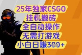 25年独家CSGO挂G搬砖，全自动操作，无需打游戏，小白日入3张+【揭秘】