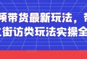 短视频带货最新玩法，带货视频之街访类玩法实操全流程