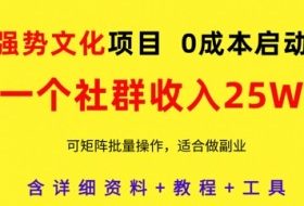 强势文化项目，一个社群收入25个W，0成本启动，可矩阵批量操作，原创详细实操教程